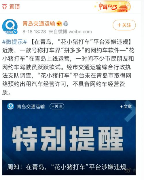 花小猪在青岛“翻车”？蓬莱部门发布网约车新规，规范行业发展刚刚开始